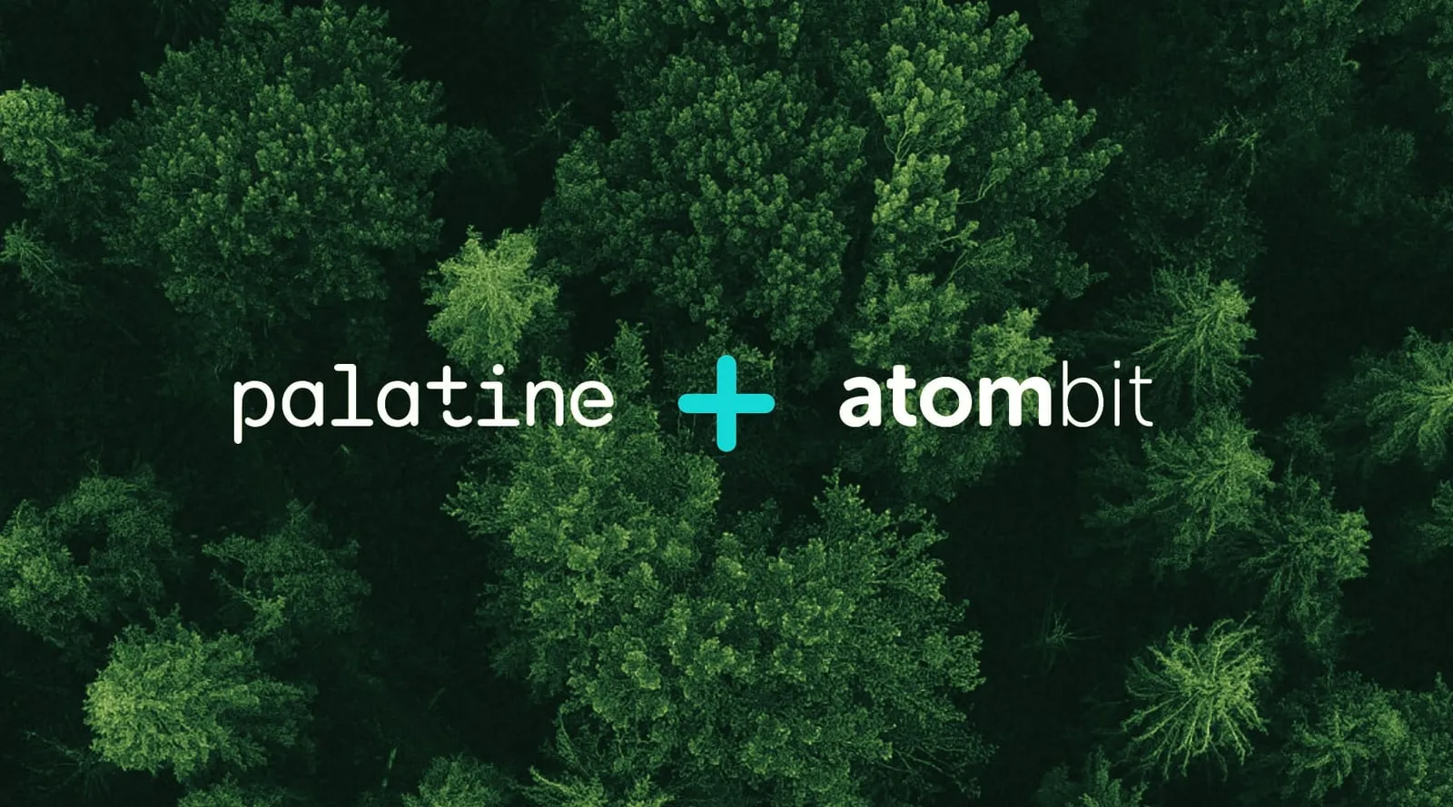 Palatine and Atombit logos over an aerial view of a forest