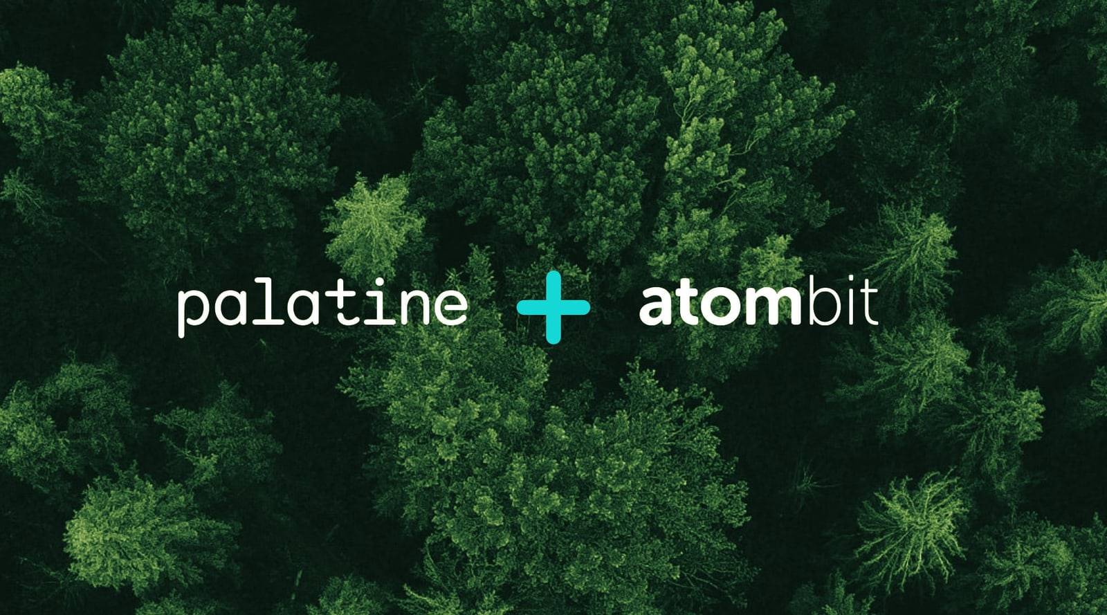 Palatine and Atombit logos over an aerial view of a forest